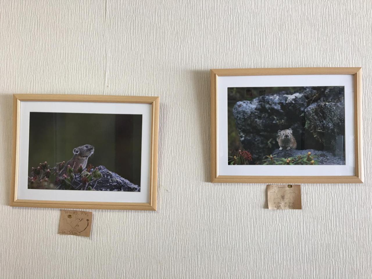 Hotel Biei Shirogane no Yu Esterno foto